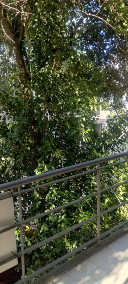 DEPARTAMENTO DE 1 DORMITORIO EXTERNO CON BALCON